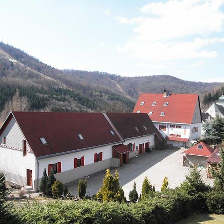 Pension Mikuláš v Krušných Horách Mikulov v Krusnych Horach Exterior foto